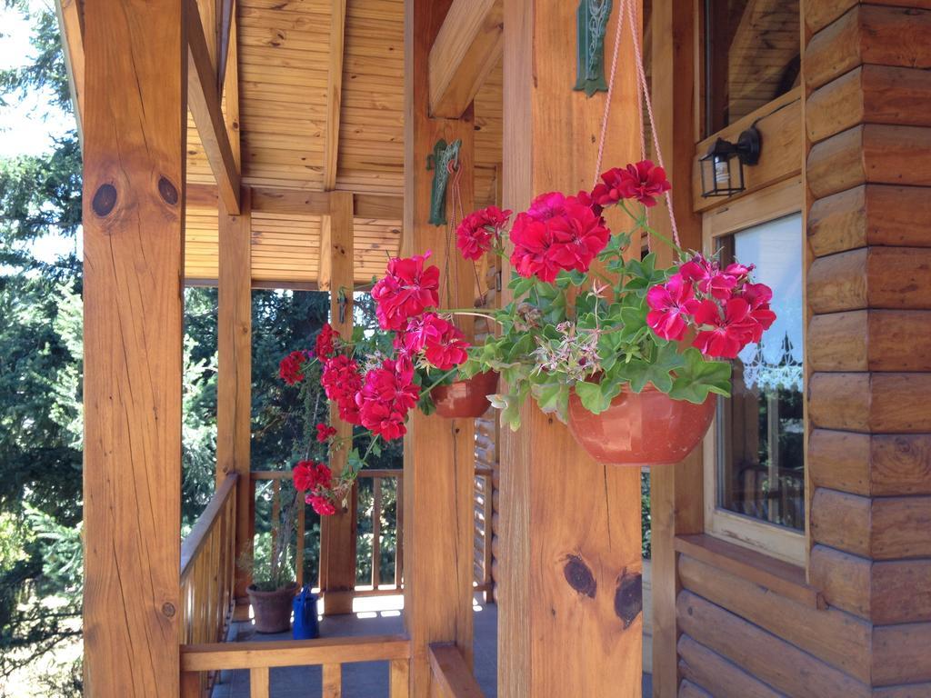 Hosteria Baerenhaus San Martin de los Andes Bagian luar foto